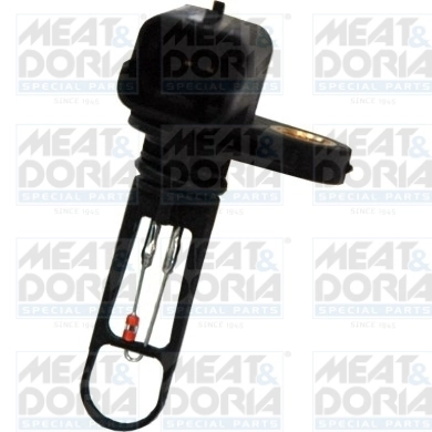 Sensor, intake air temperature